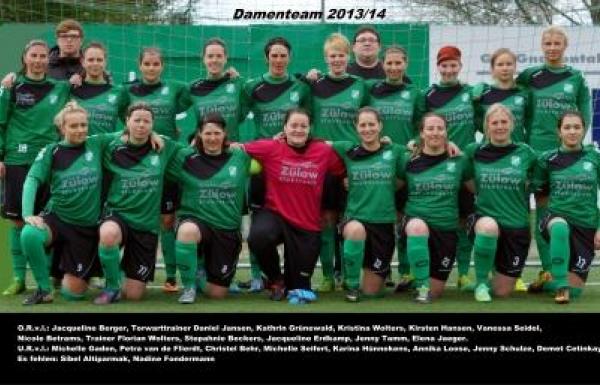1. Damen 2013 / 2014
